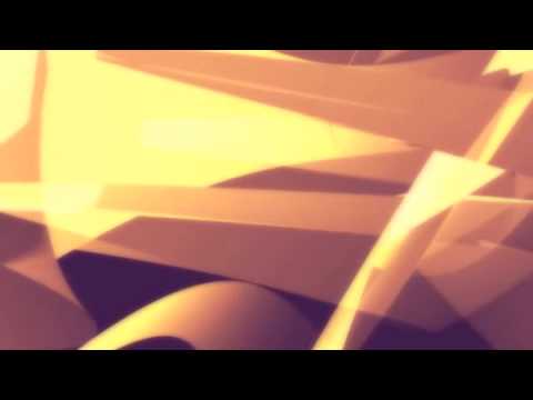 nooncat "chase " PRO-TEZ 16