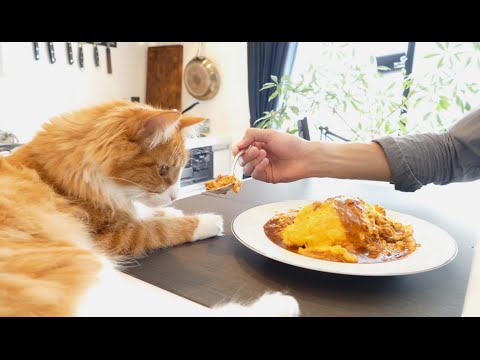 Fluffy Omurice (Japanese Omelette Rice)