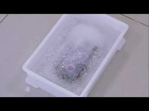 Vs ice P68 Waterproof Test DOOGEE S68 Pro Rugged Phone Review Price