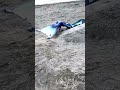 Real Mermaid Found On The Beach At Local Lake JK I Made This