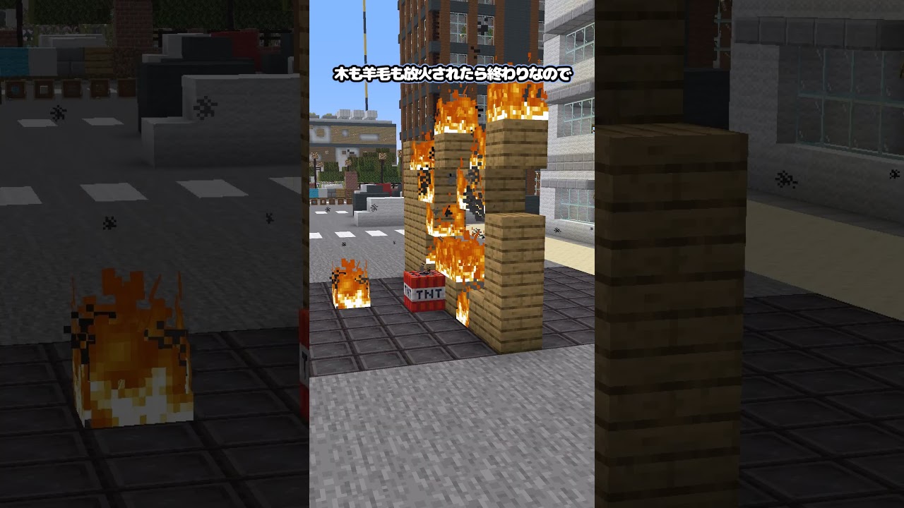 【検証】TNTを屋内保管するのに適した壁の素材は何？