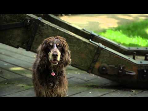 Peter Groot Kormelink - Weerkommen