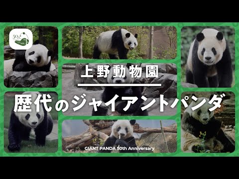 上野動物園 歴代のジャイアントパンダ