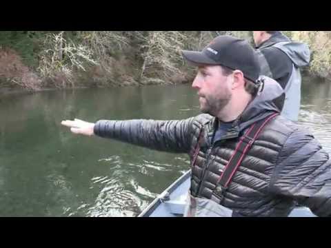 Olympic Peninsula Steelhead