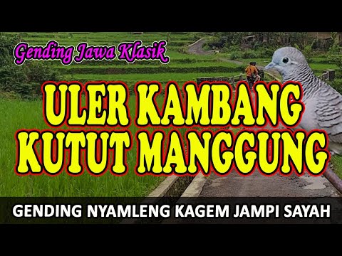 Classical Javanese Music Uler Kambang Kutut Manggung - Uyon uyon Music for Tiredness