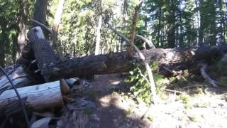 Sweet ride down the Sawtooth Trail