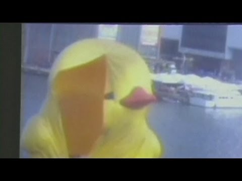 台湾で巨大な黄色いゴムのアヒルが爆発 (Giant yellow rubber duck explodes in Taiwan)