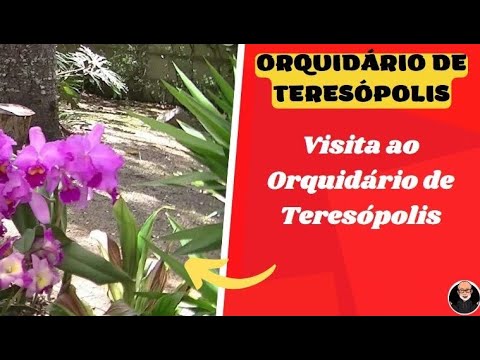 ORQUIDÁRIO DE TERESÓPOLIS