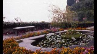 Felona - Le Orme - Il Pianeta Della Felicità...