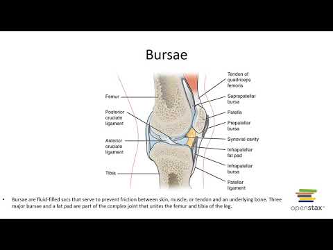 Chapter 9 Recorded Lecture