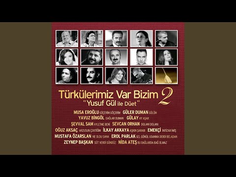 Ay Aşar (feat. Gülay)