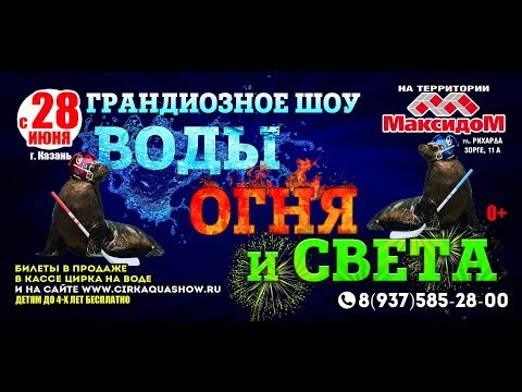 Цирк на воде Aqua Show Казань тк Максидом с 28 июня 2019