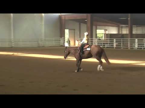 200919 Short Stirrup Courtney Melton on Tieranie Oak