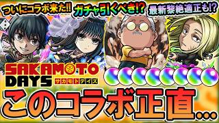 【サカモトデイズコラボ】ガチャ引くべき？キャラ性能を細かく見ていく！このガチャキャラ選択はどうなの？【モンスト/しゅんぴぃ】