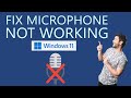 How to Fix Microphone Not Working on Windows 11?