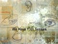 Five Senses
