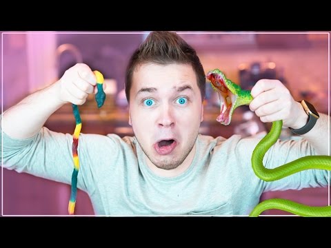 Gummy Food vs. Real Food Challenge! *EATING A SNAKE* Gross Real Food Candy Challenge Video