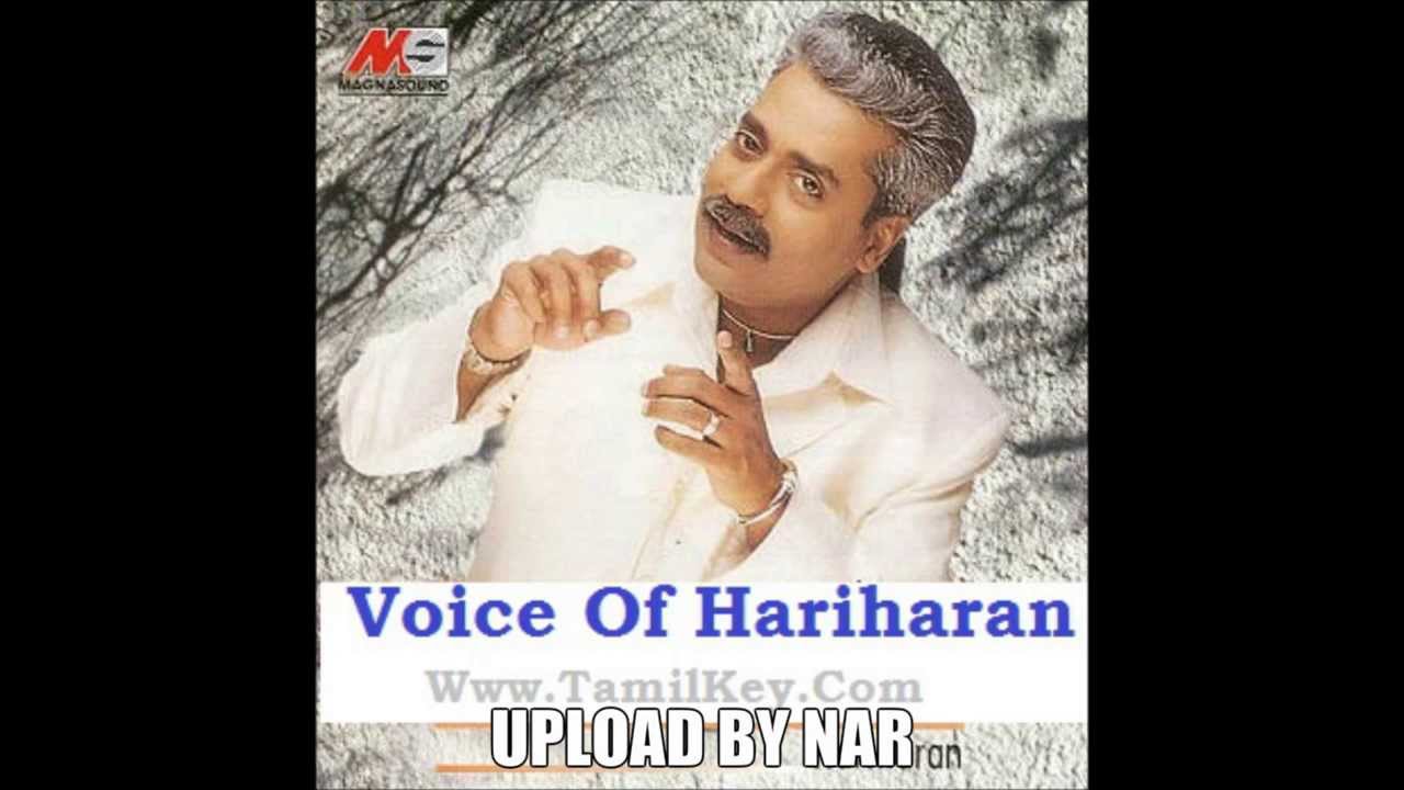 Mere Pyaar Ki Patang Lyrics | Dil Aisa Kisi Ne Mera Toda (Album) | Hariharan | Triveni Bhavani