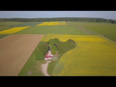 Schützenhaus Nettelrede