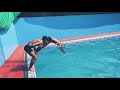 Fun Diving In SS Swimming Academy Morena