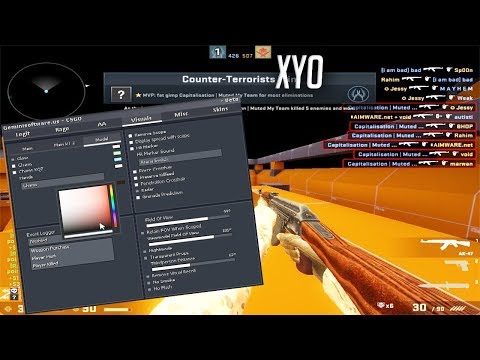xy0/geminisoftware | free/cracked hvh cheat | + DLL & CFG & SRC