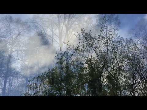 Anja Lechner Spring Is Here