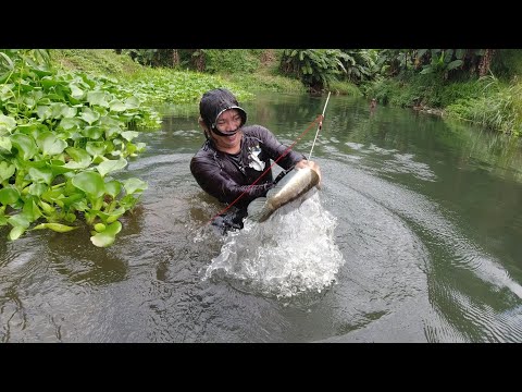 SE03EP003 Part 2 - PAGKATAPOS ng KARPA DALAG NA NAMAN! ( Catch & Cook ) San Pablo City, Laguna