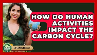 How Do Human Activities Impact The Carbon Cycle - Explaining Ecology