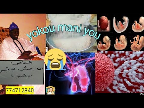 borom kimane bousso 🚨yokou mani you goor 😱💪774712840