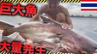 【怪魚】世界一デカいナマズが現れる釣り堀 in タイ🇹🇭