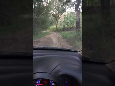 mobilio masuk hutan... beginilah jadinya