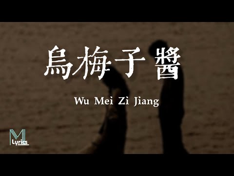 Li Rong Hao (李榮浩) - Wu Mei Zi Jiang (烏梅子醬) Lyrics 歌词 Pinyin/English Translation (動態歌詞)