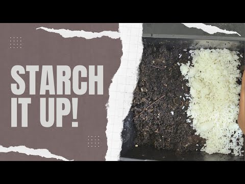 African Night Crawlers - Worm Farm Starter Kit Check-in