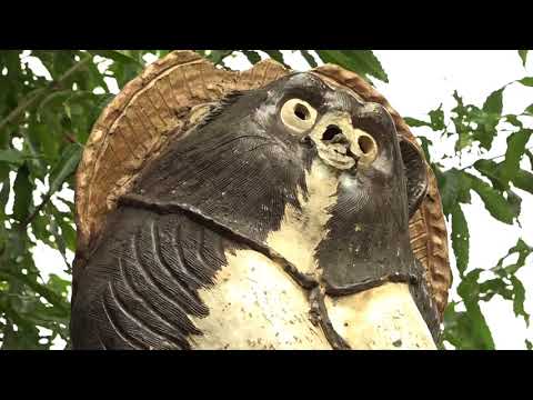 的場たぬき山公園