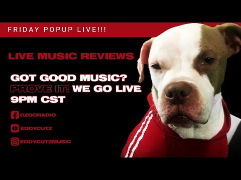 Independent artist music reviews with GZOO Radio. Submit your music now!