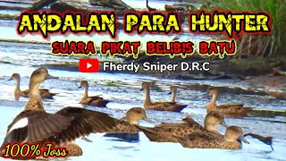 Download lagu Suara Pikat Belibis Batu Terbaru 2022 || Sniper Bima Dompu NTB mp3