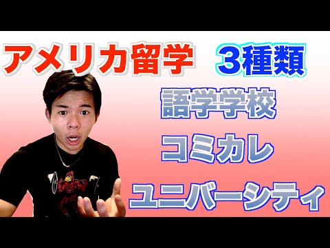 テキサス大学オースティン校について詳しく解説