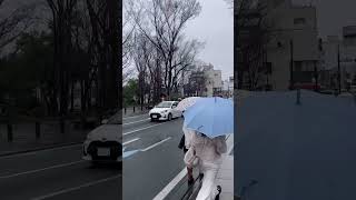 3月12日　三島駅　#三島