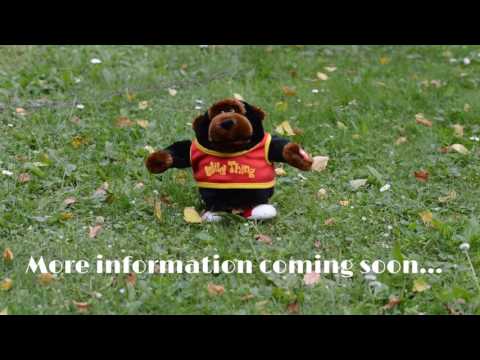 Save the Date 10.12.17 - Verus 15th Anniversary Party