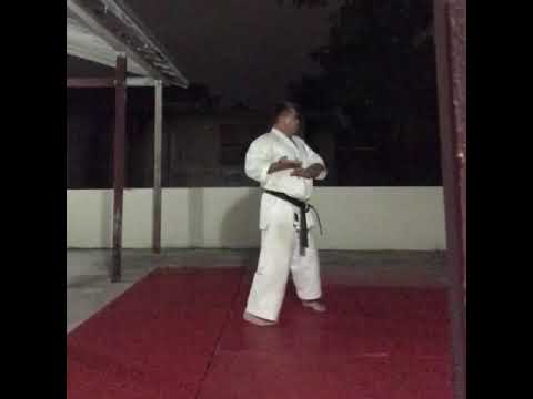 Taikyoku Mawashi uke ichi