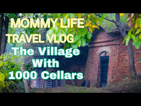 Mommy Life Vlog || Vlog & Travel W/ My Kids || A Village Called Salacea