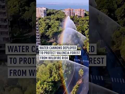 Water cannons deployed to protect Valencia forest from wildfire risk