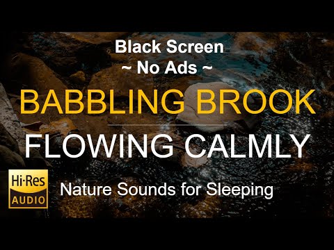 Black Screen | Calm Flowing Babbling Brook I Trickling Creek | Water Sound | Relaxing Nature Video