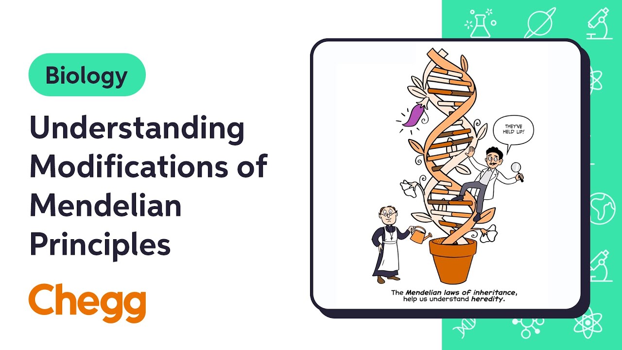 Understanding Modifications of Mendelian Principles | Biology