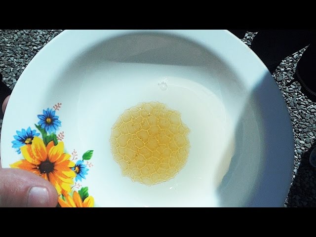 Тест меда в домашних условиях. Генетическая память меда. Мед в тарелке с водой. Мед с водой соты. Настоящий мед в воде.
