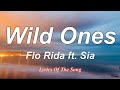 Flo Rida - Wild Ones ft  Sia (Lyrics)