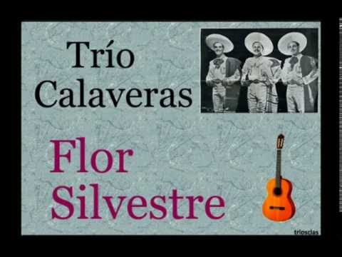 Trío Calaveras: Flor Silvestre. - (letra y acordes)