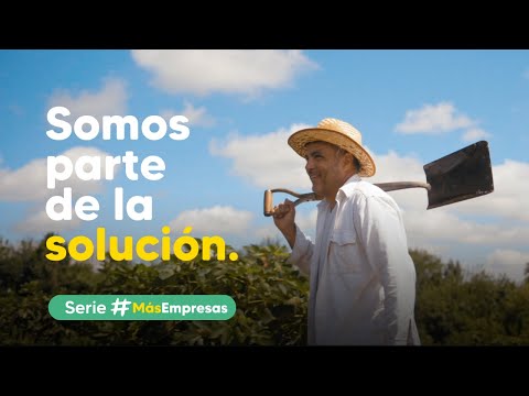 Serie #MásEmpresas | Higos Felices, Tucumán