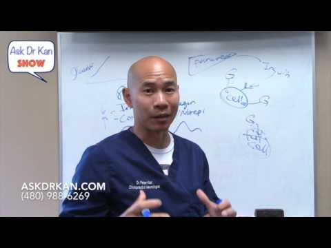 Ask Dr Kan Show #18 - Primer on insulin resistance and blood glucose