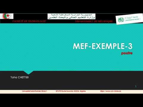 MEF EXEMPLE 3